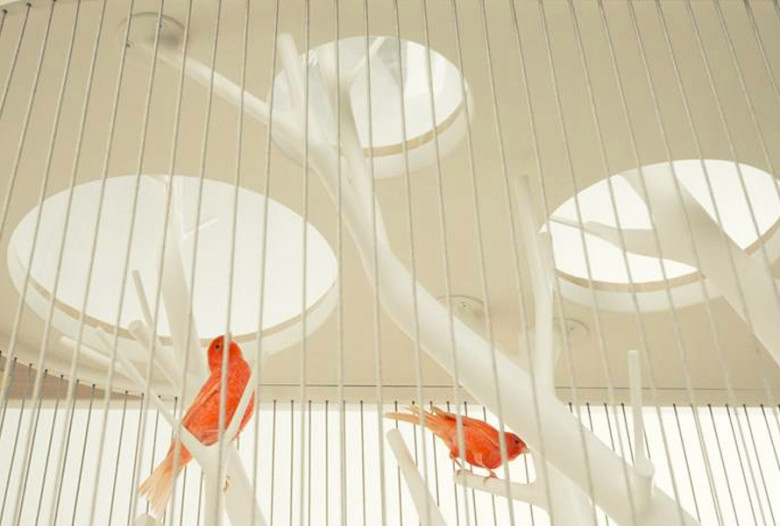 Console "Cage à oiseaux" en chêne massif, tubes acier, résines, laque, câbles inox, verre | Human Heritage